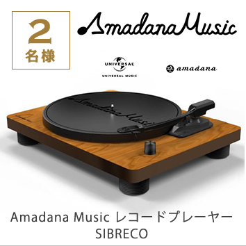 Amadana Music レコードプレーヤー