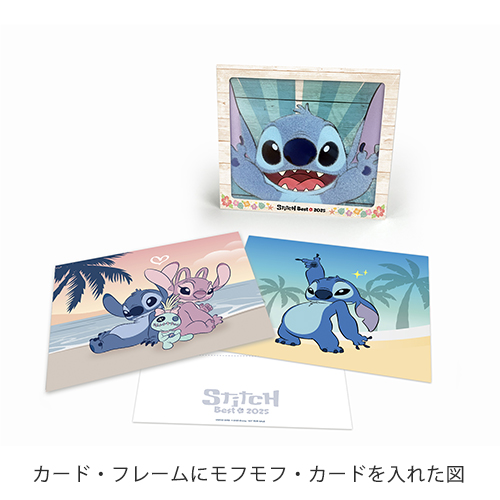 stitchbest2025 / tujyofuunyu