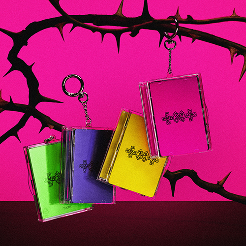 TOMORROW X TOGETHER / 7TH YEAR: A Moment of Stillness in the Thorns (Photocard Case Ver.)【4形態セット】