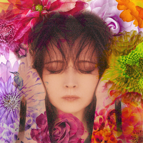 中森明菜 FIXER 特典ポスター 匿名配送 FIXER【CD】 | 中森明菜 | UNIVERSAL MUSIC STORE