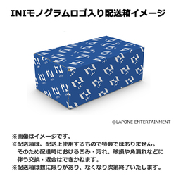 INI / PULSE / 配送箱