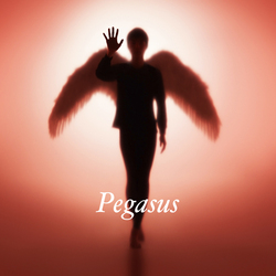 布袋寅泰 / Pegasus【通常盤】【CD MAXI】