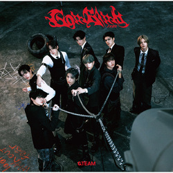 &TEAM / Go in Blind (月狼)【通常盤】【CD MAXI】
