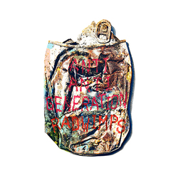 RADWIMPS / ANTI ANTI GENERATION【初回限定盤】【CD】【+DVD】