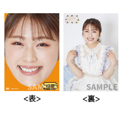 NMB48 / NMB48 渋谷凪咲 卒業コンサート / アザージャケット（～こんなジャケット前代未聞!そのデザインとは?～）※DVD