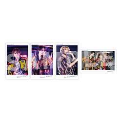 timelesz / We’re timelesz LIVE TOUR 2024 / チェキ風オリジナルトレーディングカード4枚セット（絵柄B）