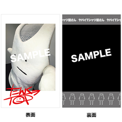 ヤバイTシャツ屋さん / Tank-top of the DVD SPECIAL III -志摩スペイン村- / チェキ風トレカ