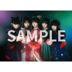 すき、きらい【CD MAXI】【+GOODS】 | ファントムシータ