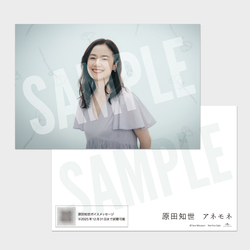 原田知世 / アネモネ  / ポストカード(原田知世ボイスメッセージQRコード付)