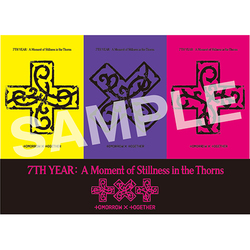 TOMORROW X TOGETHER / 7TH YEAR: A Moment of Stillness in the Thorns (THORN Ver.) / ロゴステッカーシート