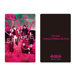 TOMORROW X TOGETHER / 7TH YEAR: A Moment of Stillness in the Thorns (Photocard Case) / フォトカード
