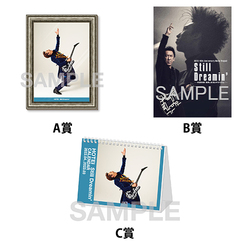 布袋寅泰 / Still Dreamin' / 展示用品番