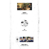 &TEAM / First Howling : NOW【4形態セット】【お見送り会応募商品】【2024年3月6日(水)［神奈川］】【CD】