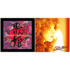 中森明菜 / カバーアルバム12タイトルセット【スペシャルプライス盤】【UNIVERSAL MUSIC STORE限定特典：ジャケットスリック付き】【CD】