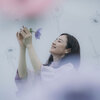 原田知世 / アネモネ【通常盤】【期間限定 動画視聴付】【CD】【SHM-CD】