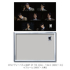 BTS / BTSジグソーパズル[MAP OF THE SOUL : 7 Ver.3 [300ピース]]+[フレーム [300ピース用]]
