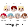 BTS / TinyTAN/ぬいぐるみバッジ/7種セット