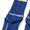 RADWIMPS / ＜受注販売②＞20th Anniversary 特別展「私たちはまだRADWIMPSを知らない」 VOQUE TING STAND 靴下