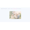 BTS / LOVE YOURSELF 承 'Her'【輸入盤】【CD】