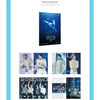 SHINee / SHINee WORLD VI [PERFECT ILLUMINATION : SHINee'S BACK] DVD【ONEW ver.】【DVD】