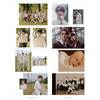 SEVENTEEN / SEVENTEEN PHOTOBOOK 「SOCIAL CLUB : CARAT」【SET】【+DVD】