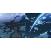 RADWIMPS / 君の名は。【アナログ盤】【限定生産品】【アナログ】
